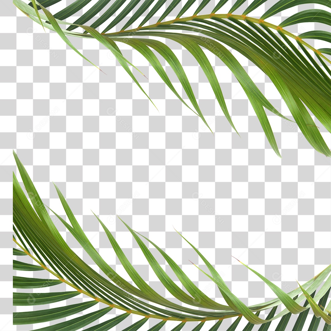 Folha Verde PNG Transparente
