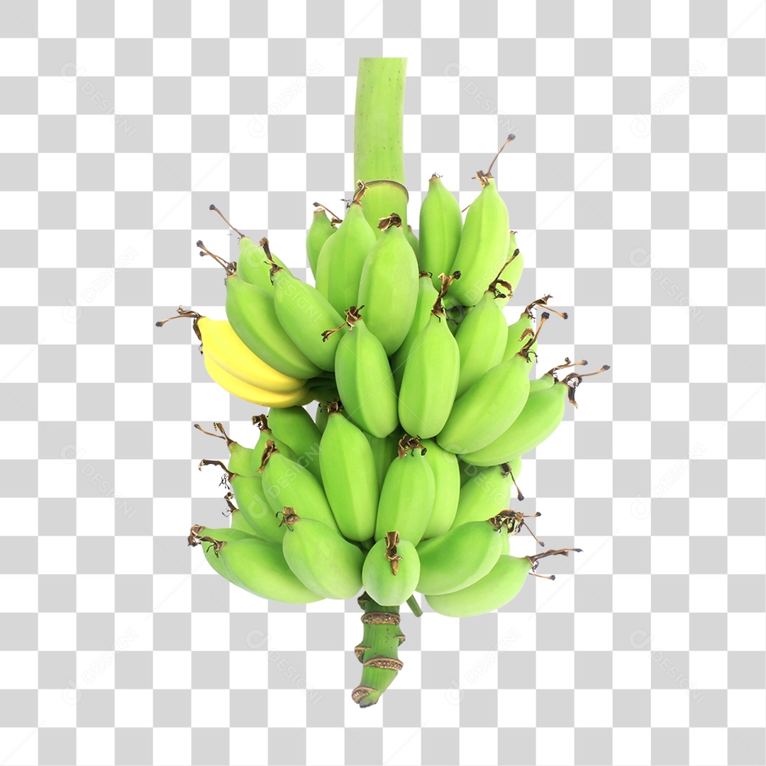 Cacho de Banana PNG Transparente