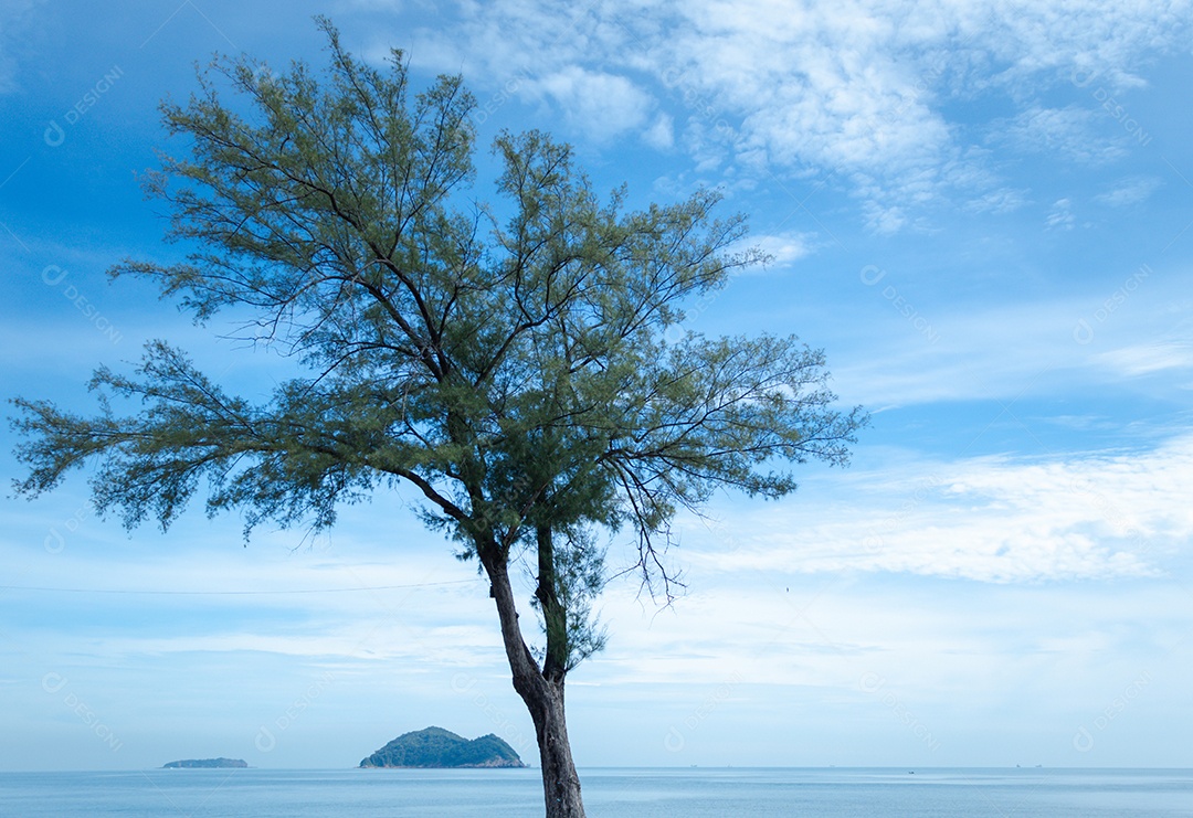 Árvores no fundo do mar e do céu
