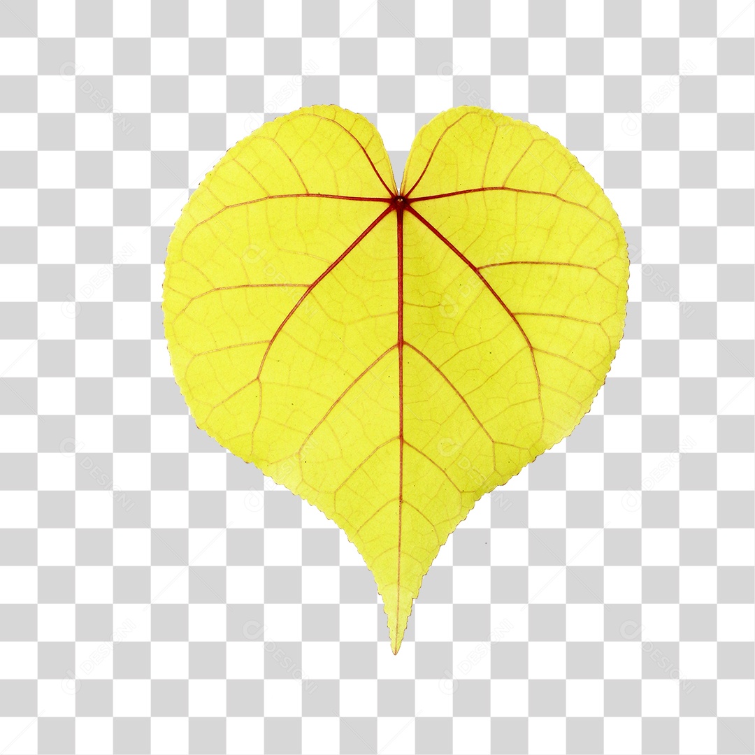 Folha Amarela PNG Transparente