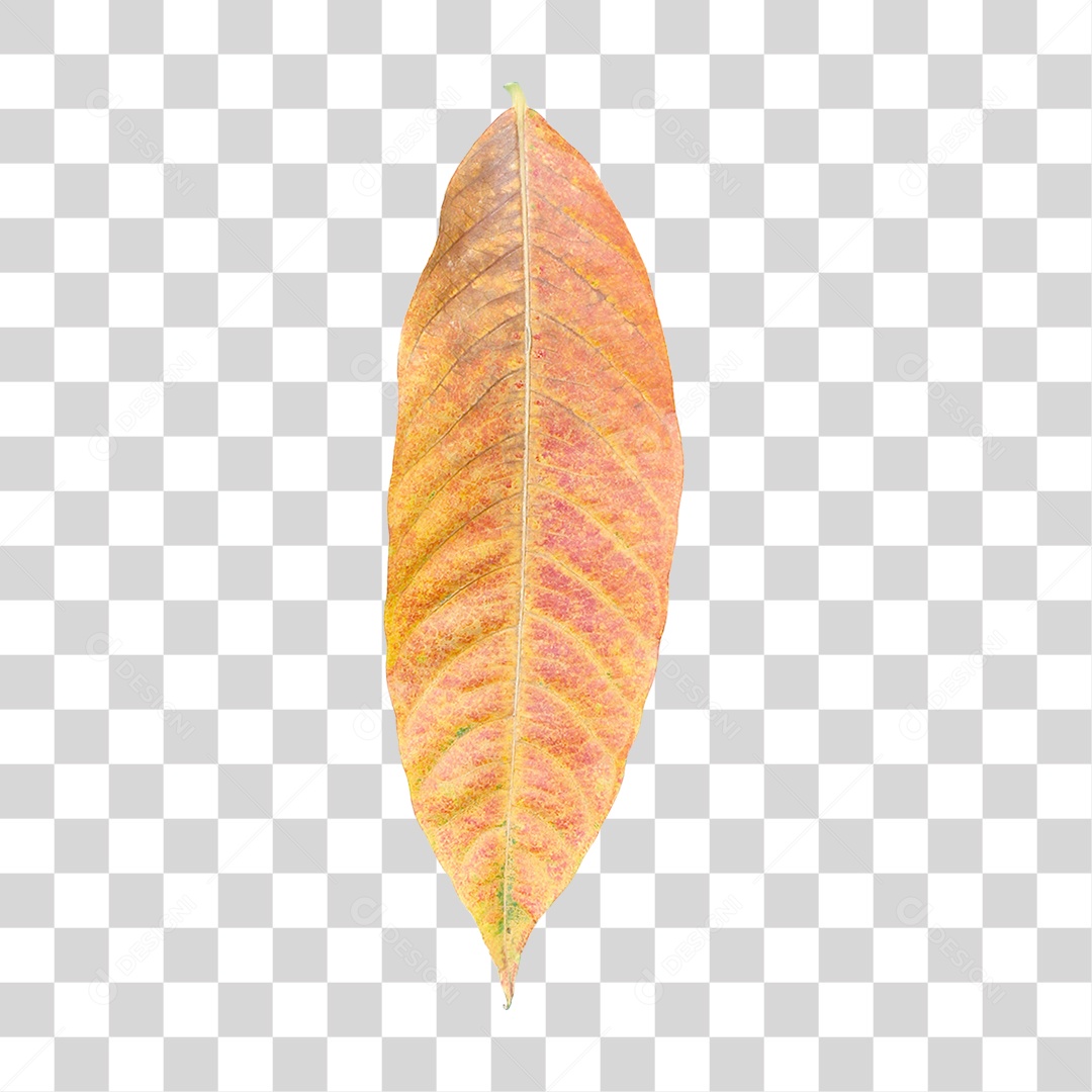 Folha Amarela PNG Transparente