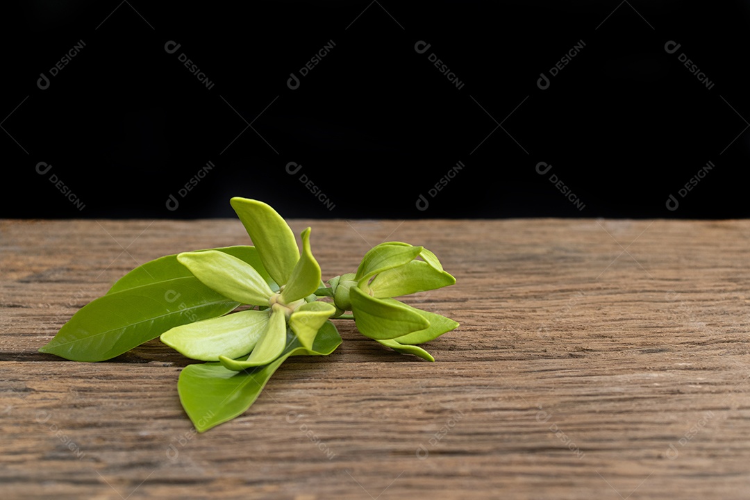 Flores verdes de ylang-ylang colocadas em um piso de madeira velho contra um fundo preto.