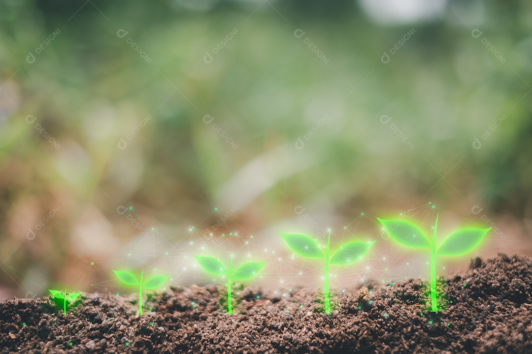 Pequena árvore crescendo com o nascer do sol. mundo verde e conceito do dia da terra