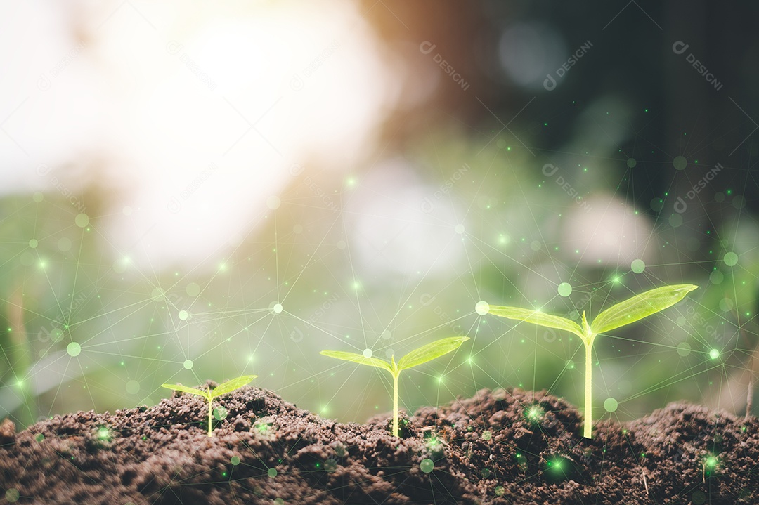 Pequena árvore crescendo com o nascer do sol. mundo verde e conceito do dia da terra