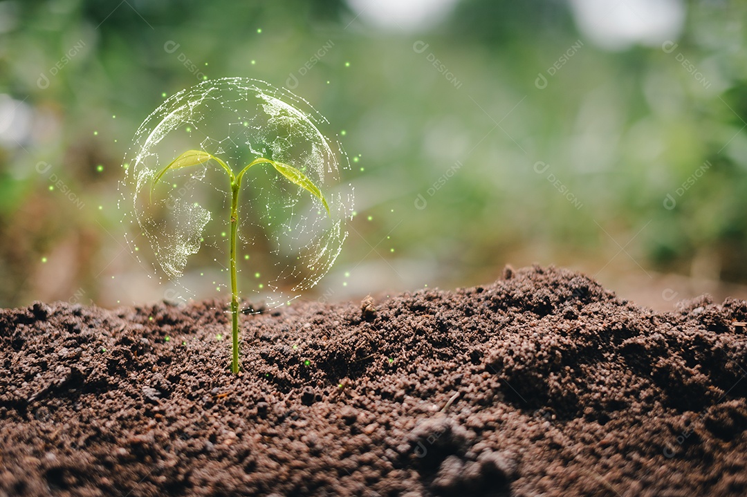 Pequena árvore crescendo com o nascer do sol. mundo verde e conceito do dia da terra