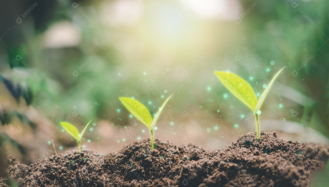 Pequena árvore crescendo com o nascer do sol. mundo verde e conceito do dia da terra