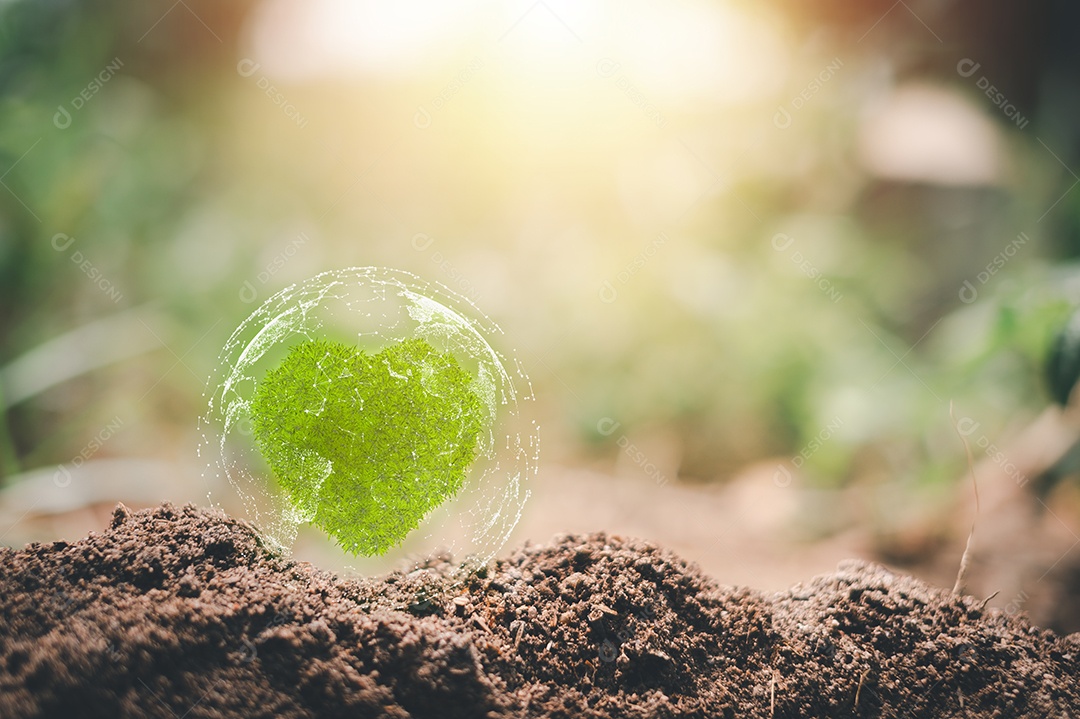 Pequena árvore crescendo com o nascer do sol. mundo verde e conceito do dia da terra