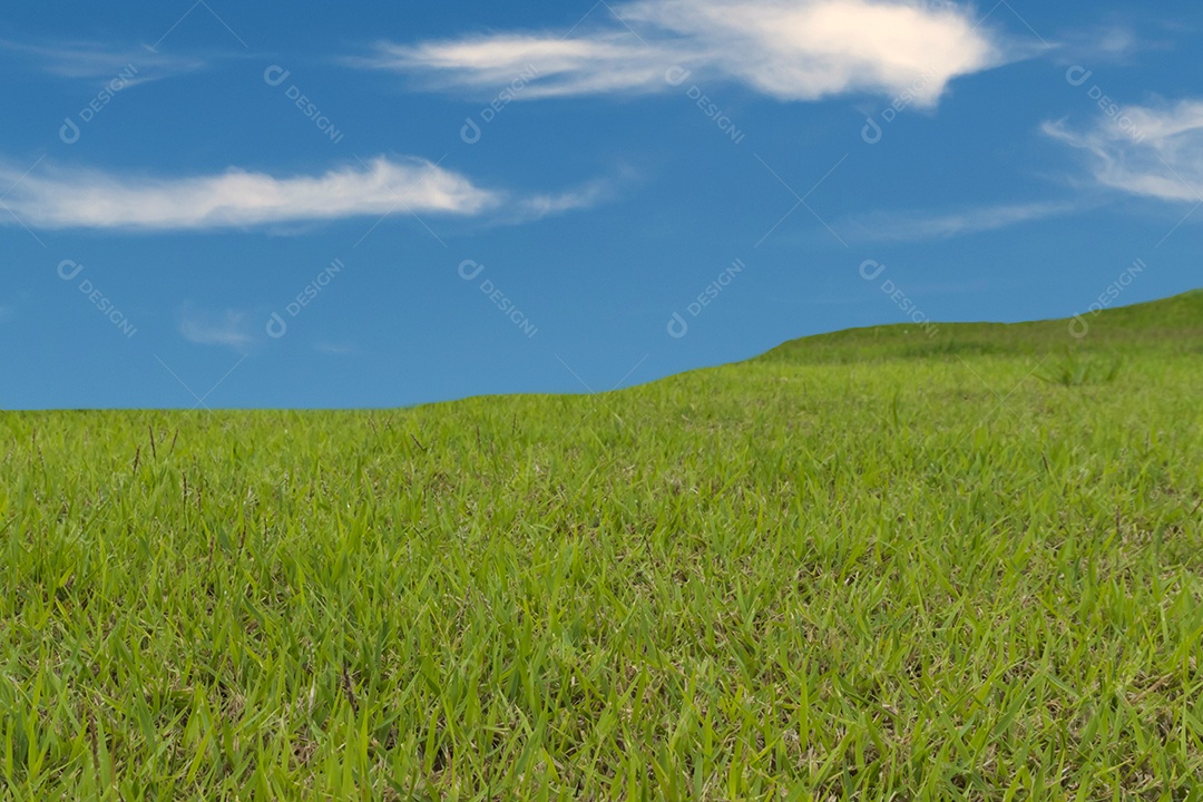 Paisagem de grama verde na encosta com céu azul e fundo de nuvens.