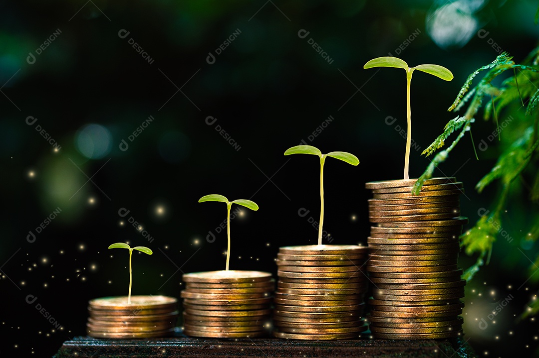 Economizando investimento, negocie, economize e obtenha lucro com juros, dinheiro