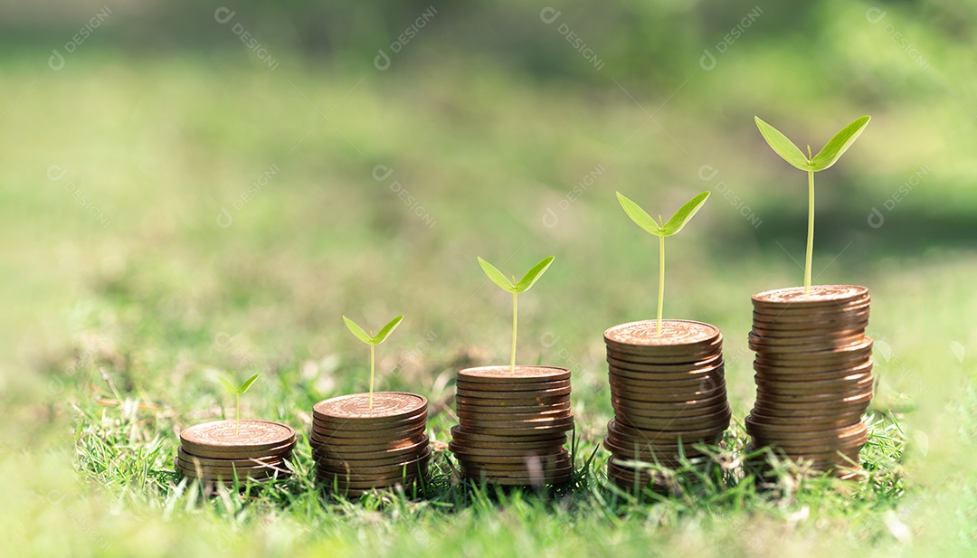 Saving investment, trade, save and earn interest profit, money