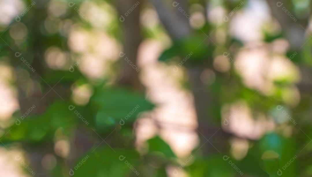 Bokeh verde fora de foco da floresta natural