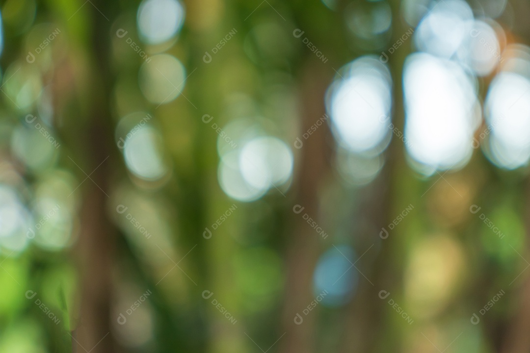 Bokeh verde fora de foco da floresta natural