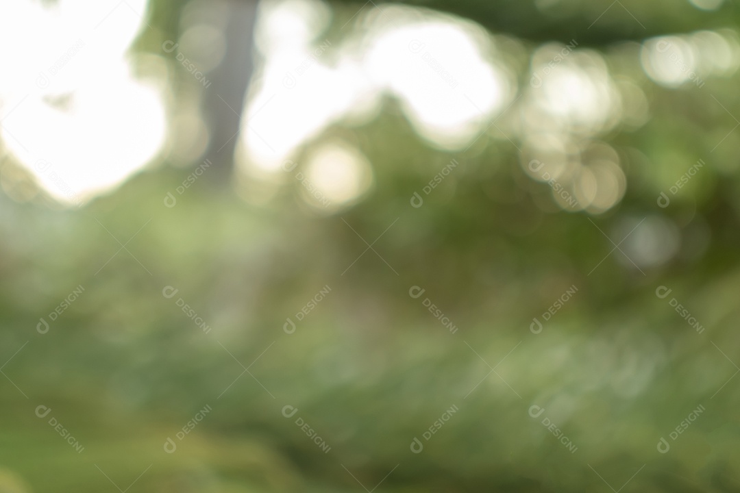 Bokeh verde fora de foco da floresta natural