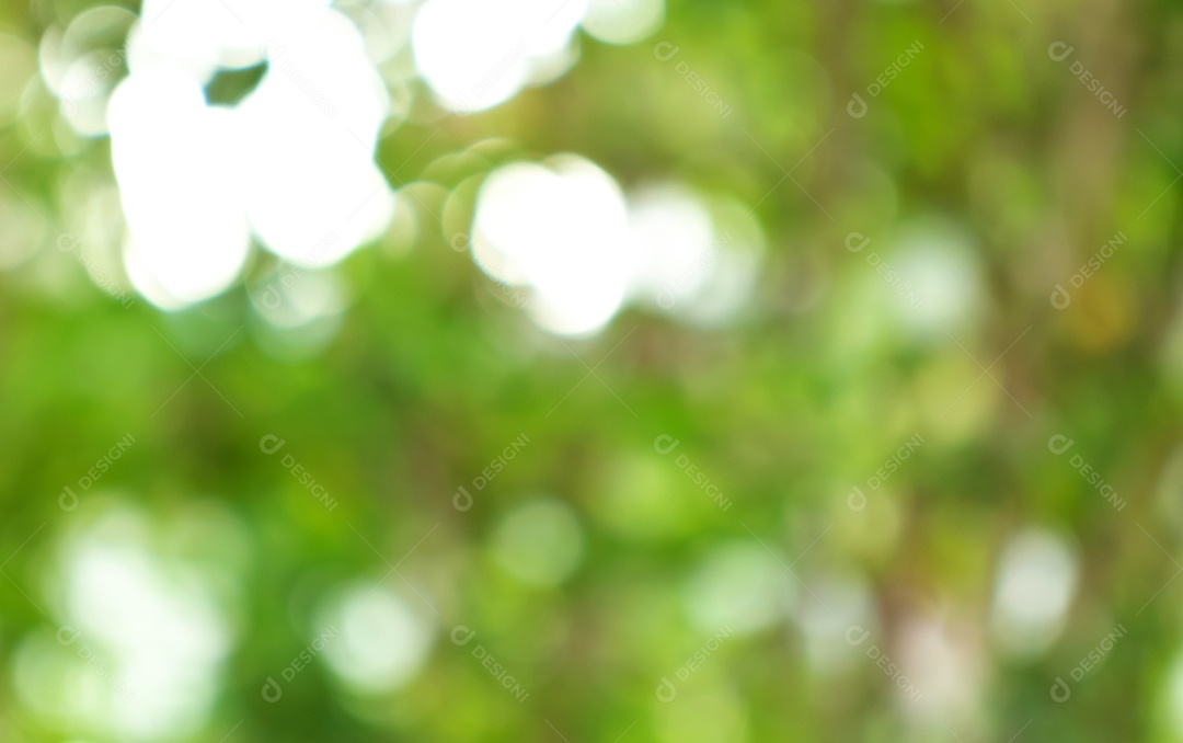 Bokeh verde fora de foco da floresta natural