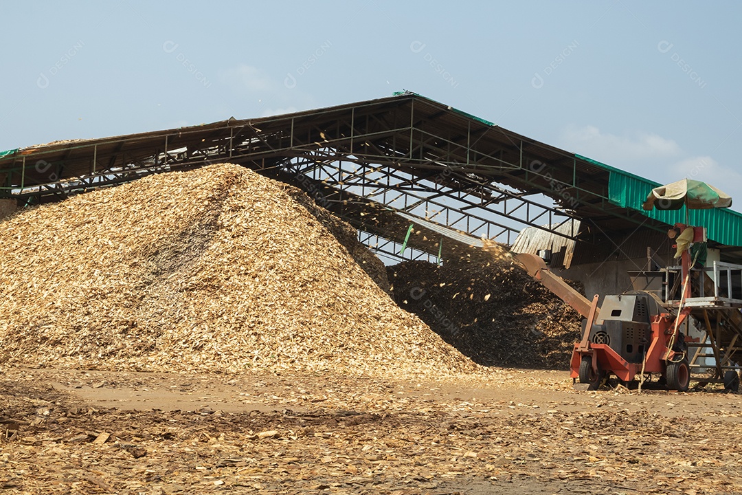 Máquina de cortar madeira está funcionando. Transformar grandes pedaços