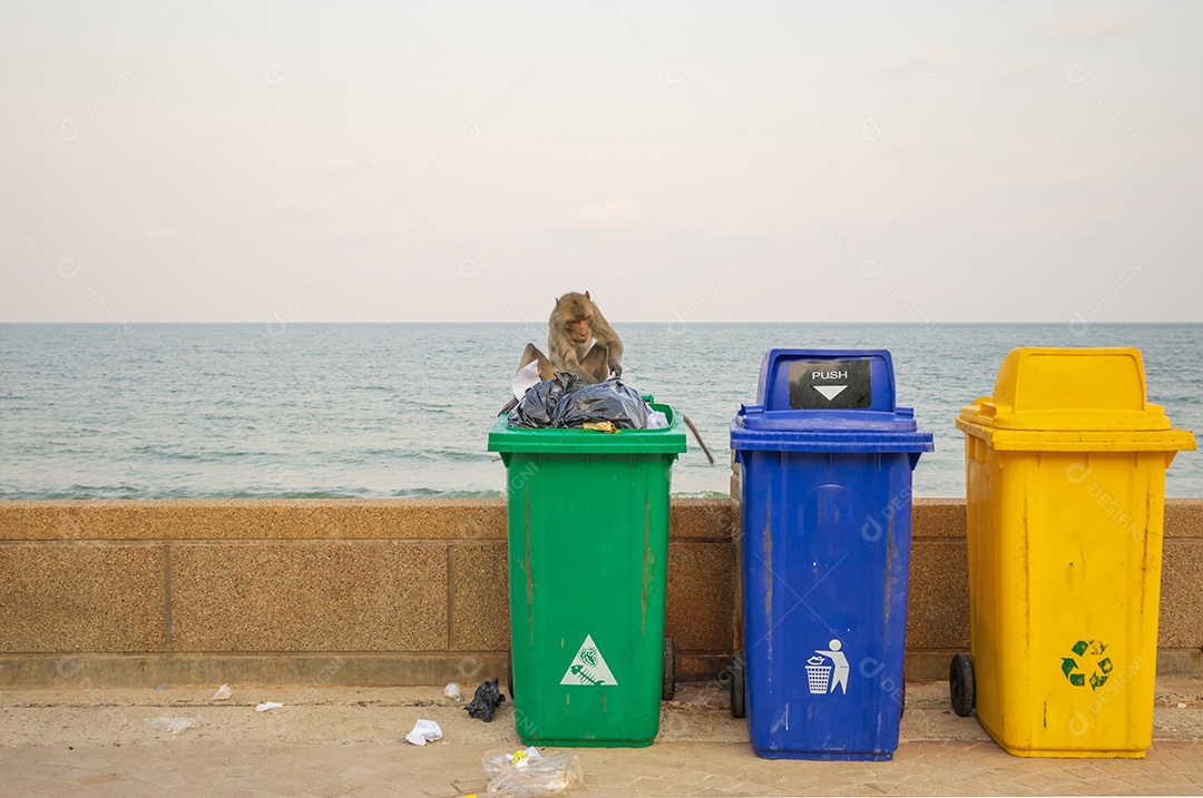 Três recipientes de metal para lixo diferente com inscrição em turco e inglês