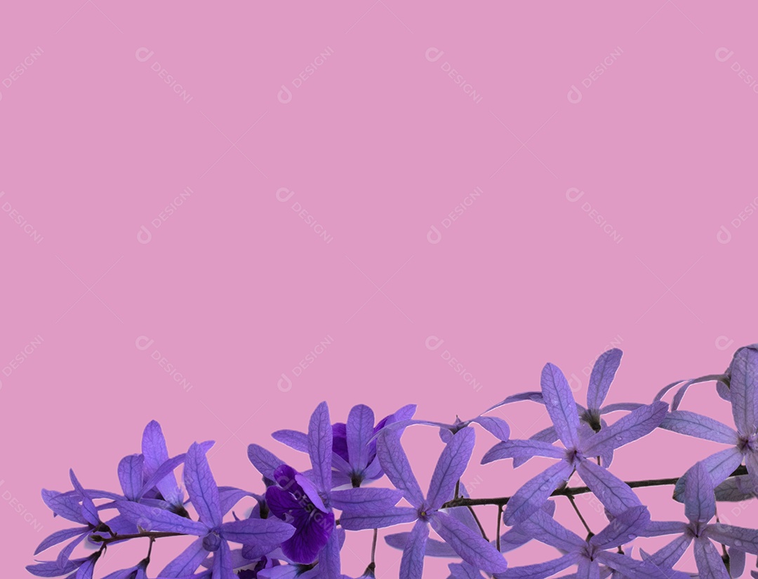 Flores roxas colocadas abaixo do quadro em um fundo rosa.