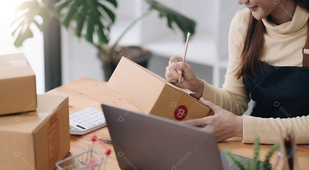 Iniciando pequenas empresas Proprietárias de PME