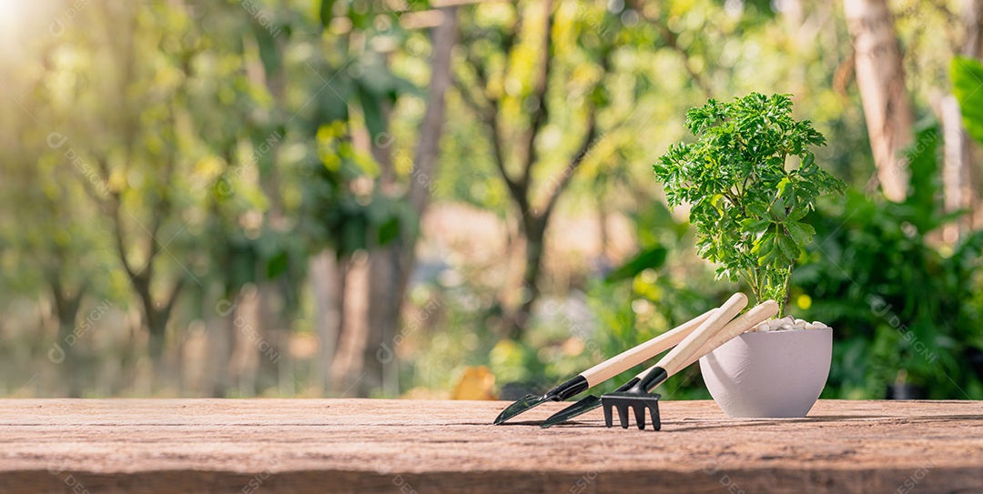Plantando árvores em vasos. Conceito de plantas de amor. Ame o ambiente.