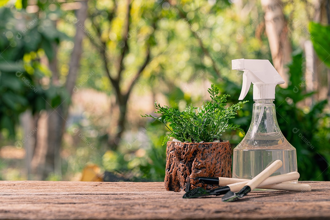 Plantando árvores em vasos. Conceito de plantas de amor. Ame o ambiente.