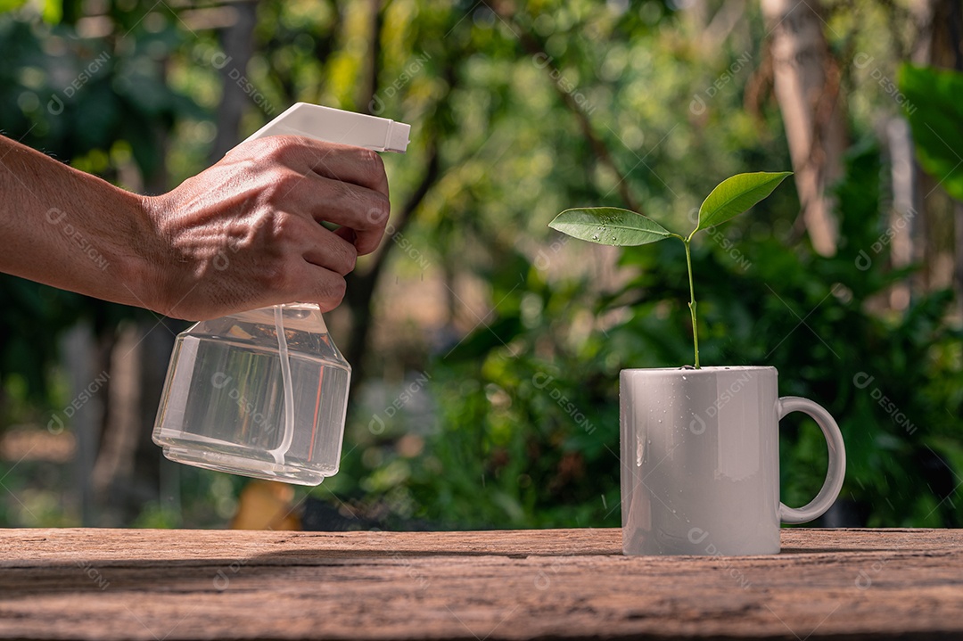 Pessoa plantando árvores em vasos conceito de plantas de amor amam o ambiente