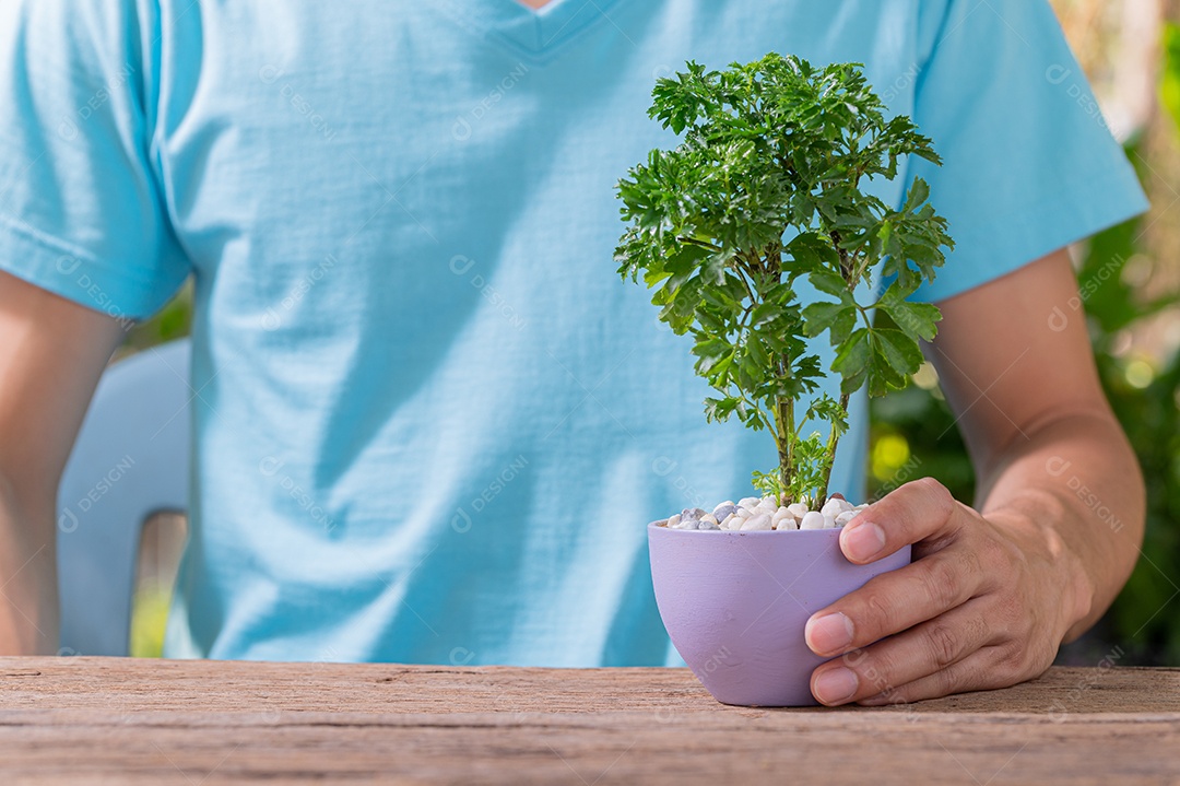 Pessoa plantando árvores em vasos conceito de plantas de amor amam o ambiente