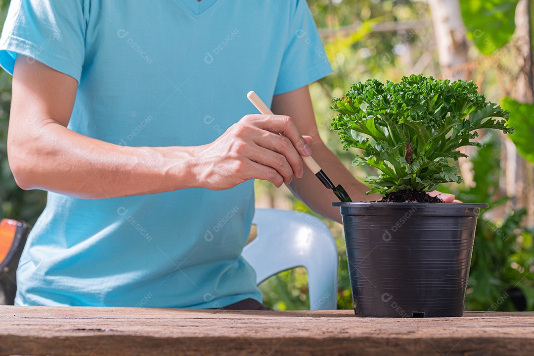 Pessoa plantando árvores em vasos conceito de plantas de amor amam o ambiente