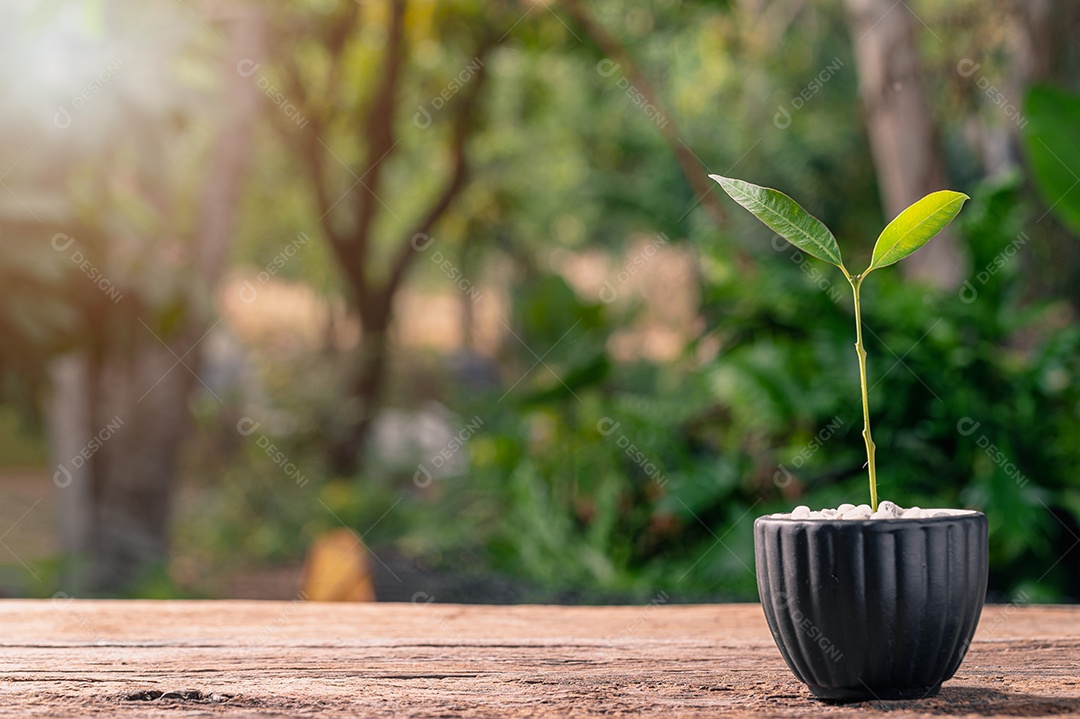 Conceito de plantar uma árvore de amor