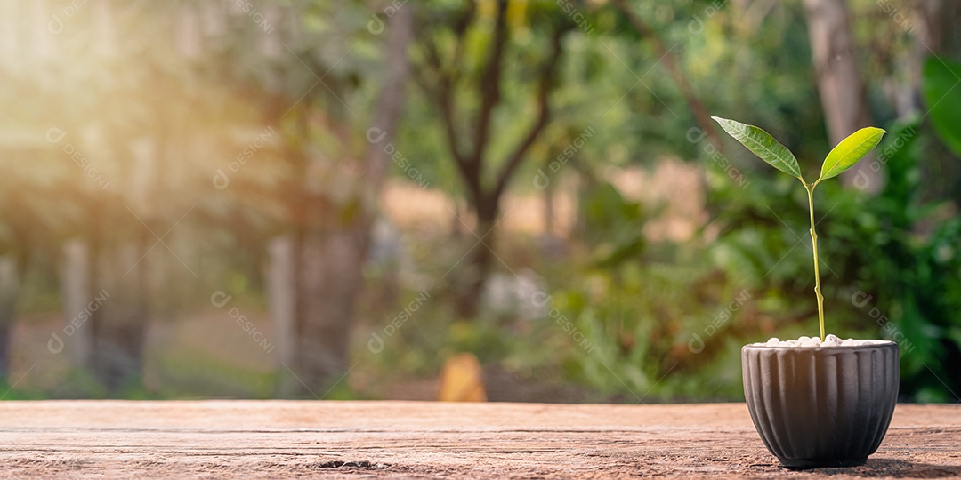 Conceito de plantar uma árvore de amor