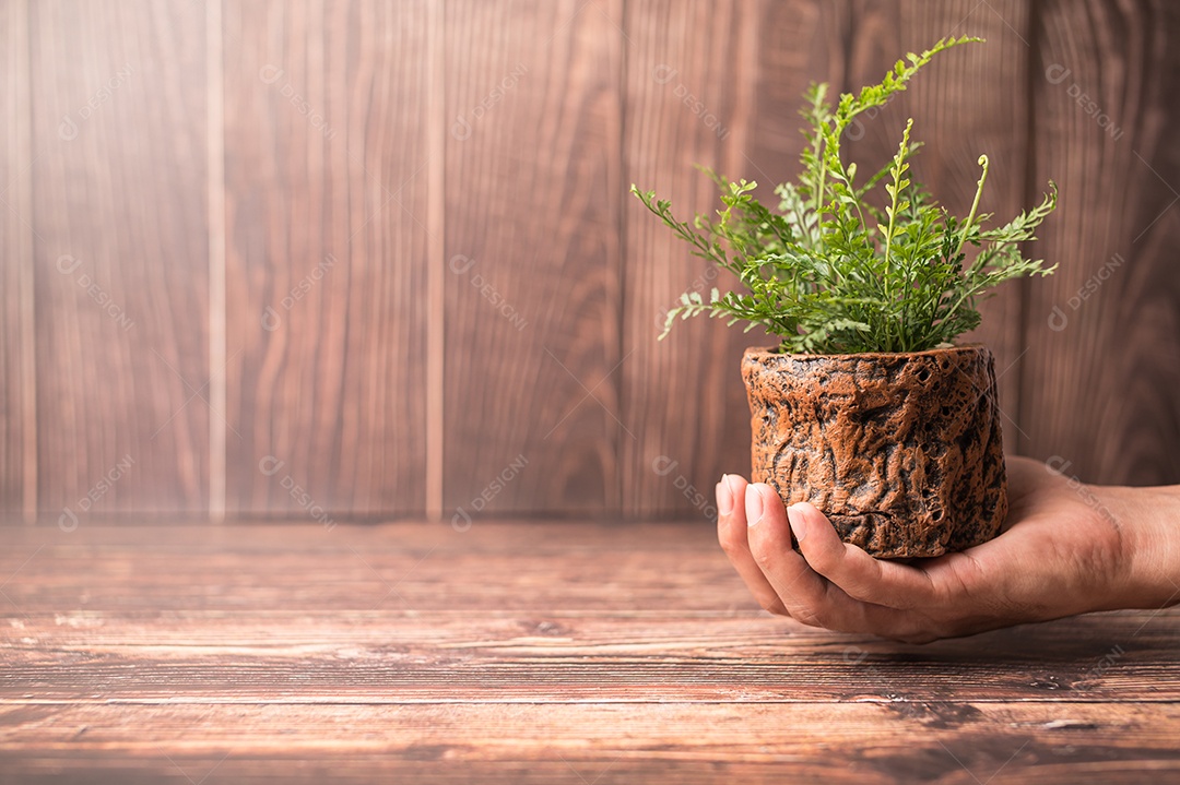 Dia Mundial do Meio Ambiente. Ame o mundo. Mão segurando um vaso de plantas