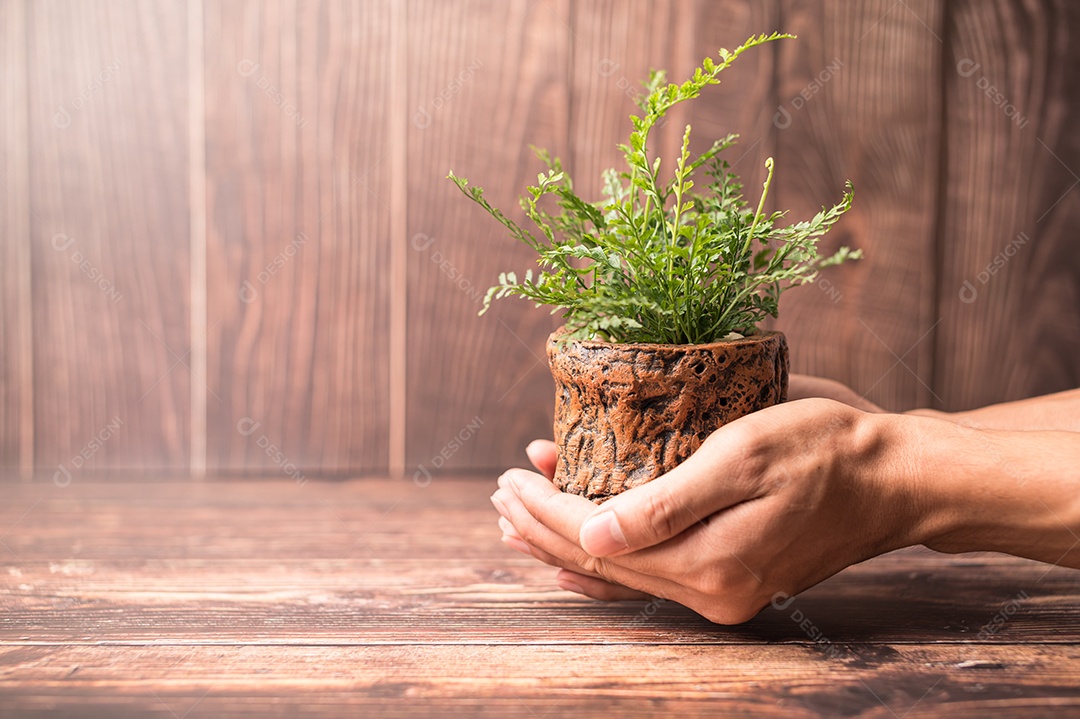 Dia Mundial do Meio Ambiente. Ame o mundo. Mão segurando um vaso de plantas