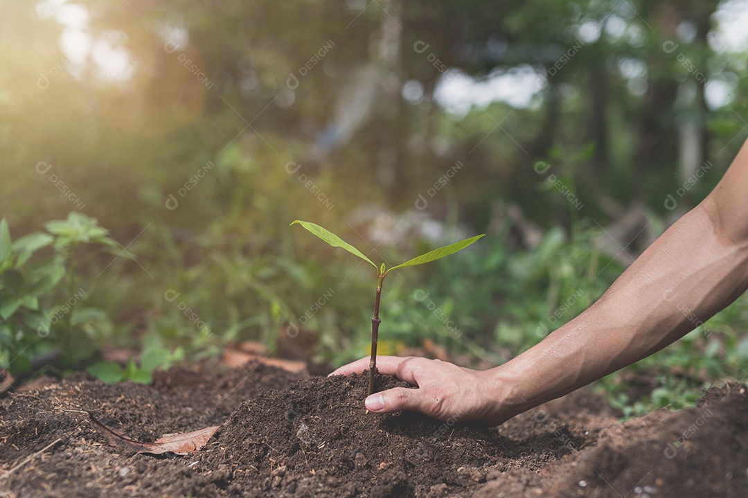 World Environment Day, Plant trees and love the environment, love nature.