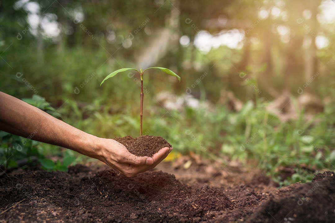 Dia Mundial do Meio Ambiente Ame o mundo Mão segurando um globo