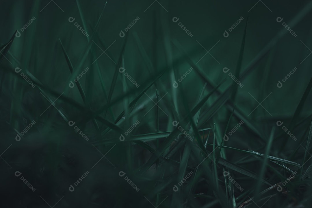 Love the environment Grass background