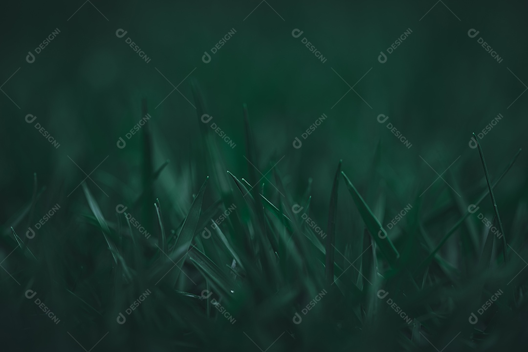 Ame o ambiente Fundo de grama