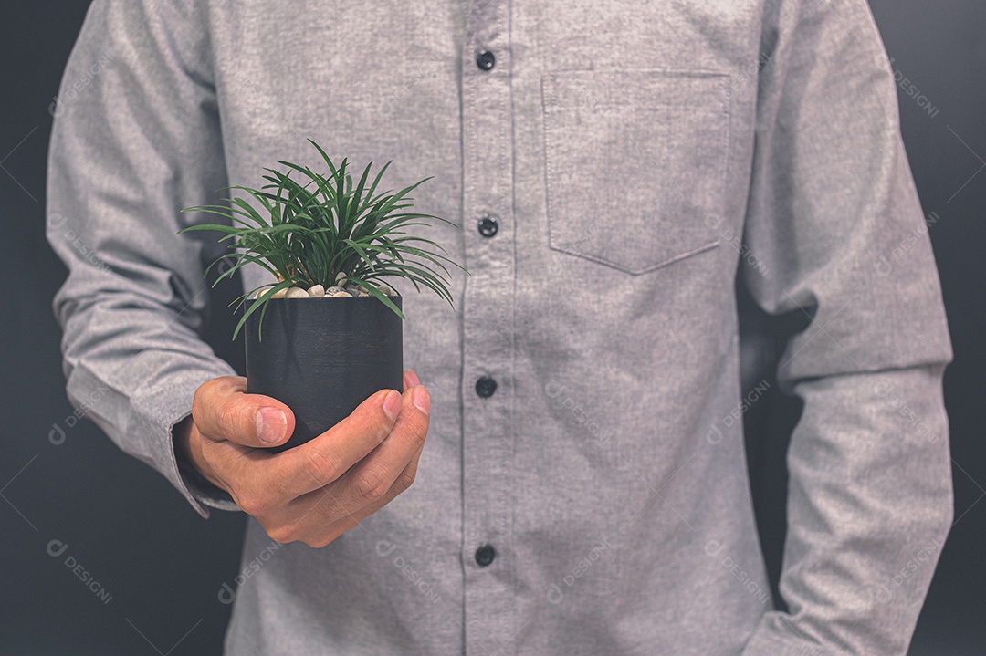 Vaso de planta em mãos humanas ama a árvore do amor do conceito de natureza