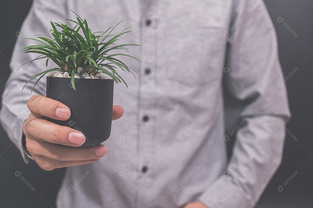 Vaso de planta em mãos humanas ama a árvore do amor do conceito de natureza