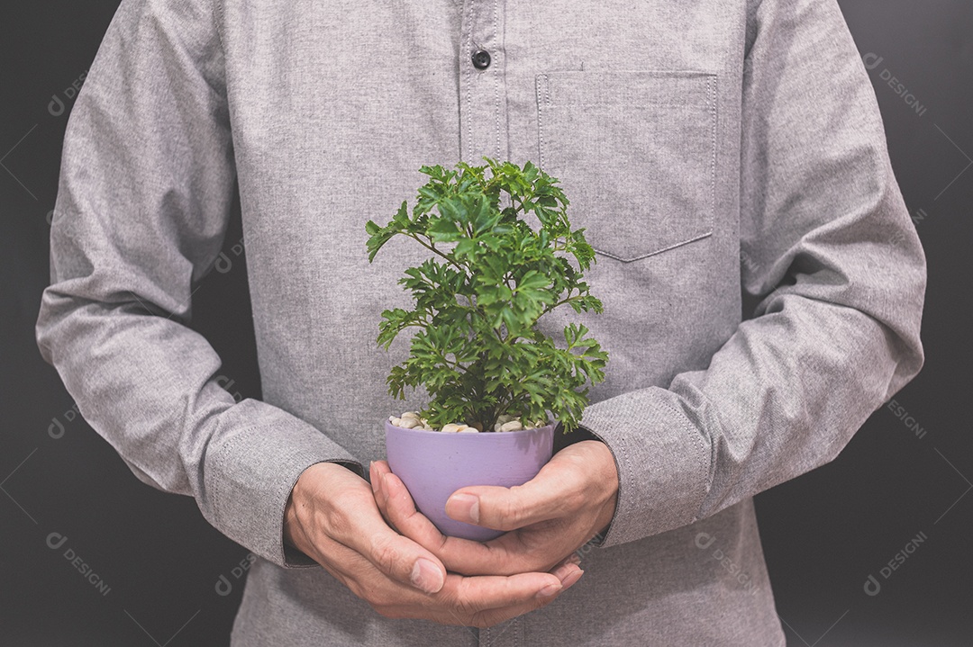 Vaso de planta em mãos humanas ama a árvore do amor do conceito de natureza