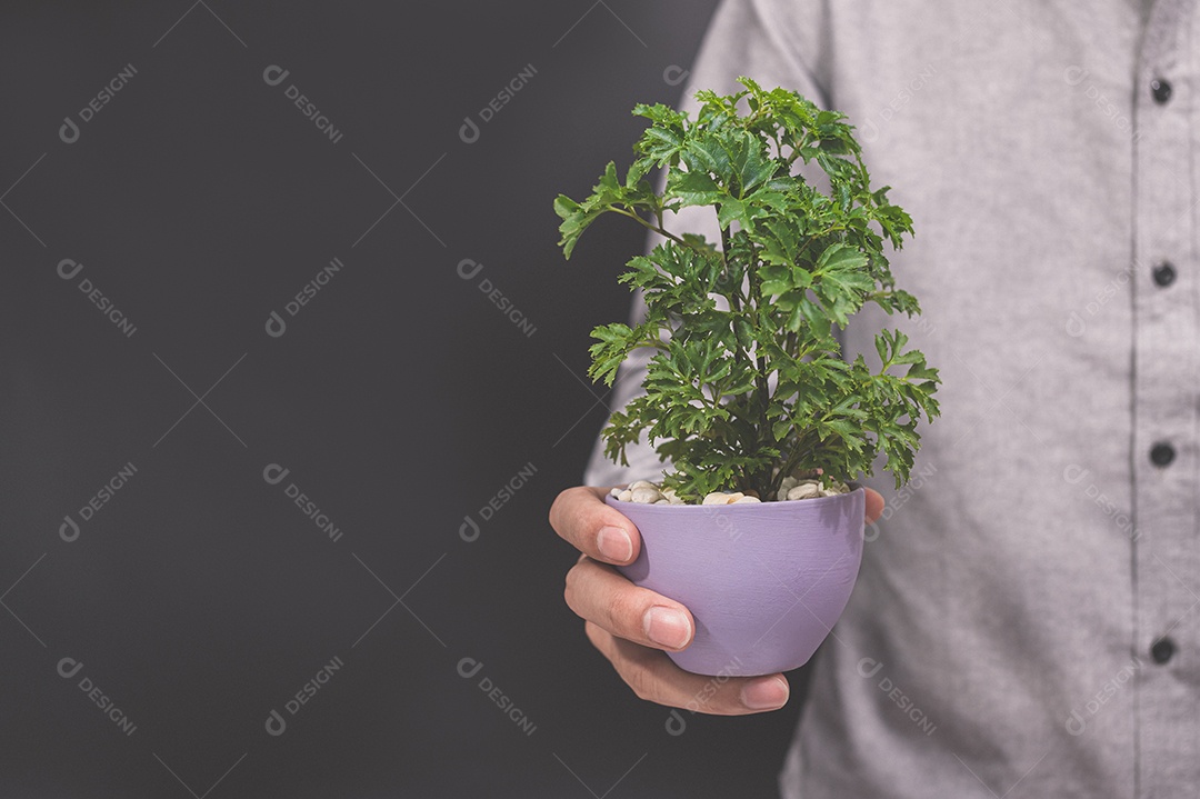 Potted plant in human hands love tree of love of nature concept