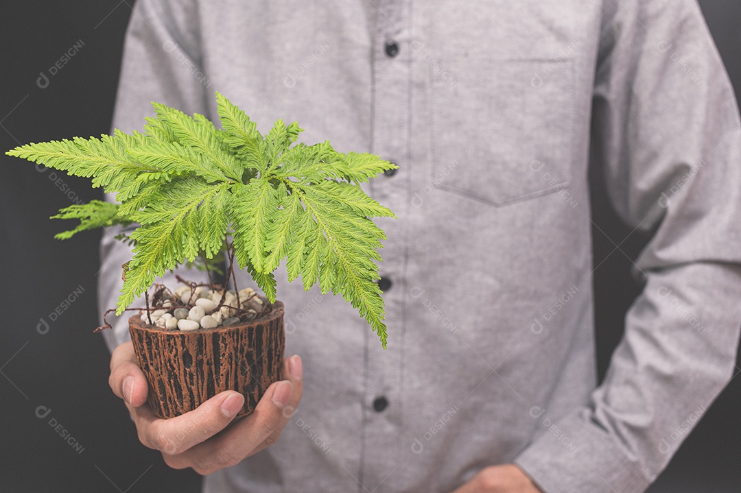 Vaso de planta em mãos humanas ama a árvore do amor do conceito de natureza