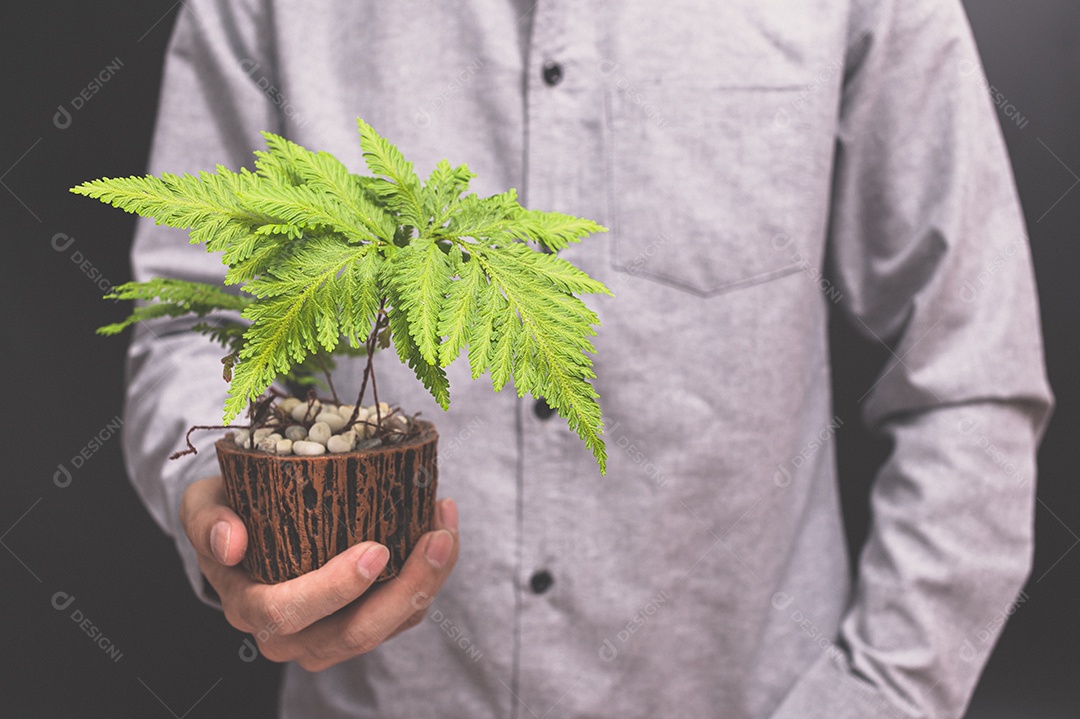 Vaso de planta em mãos humanas ama a árvore do amor do conceito de natureza