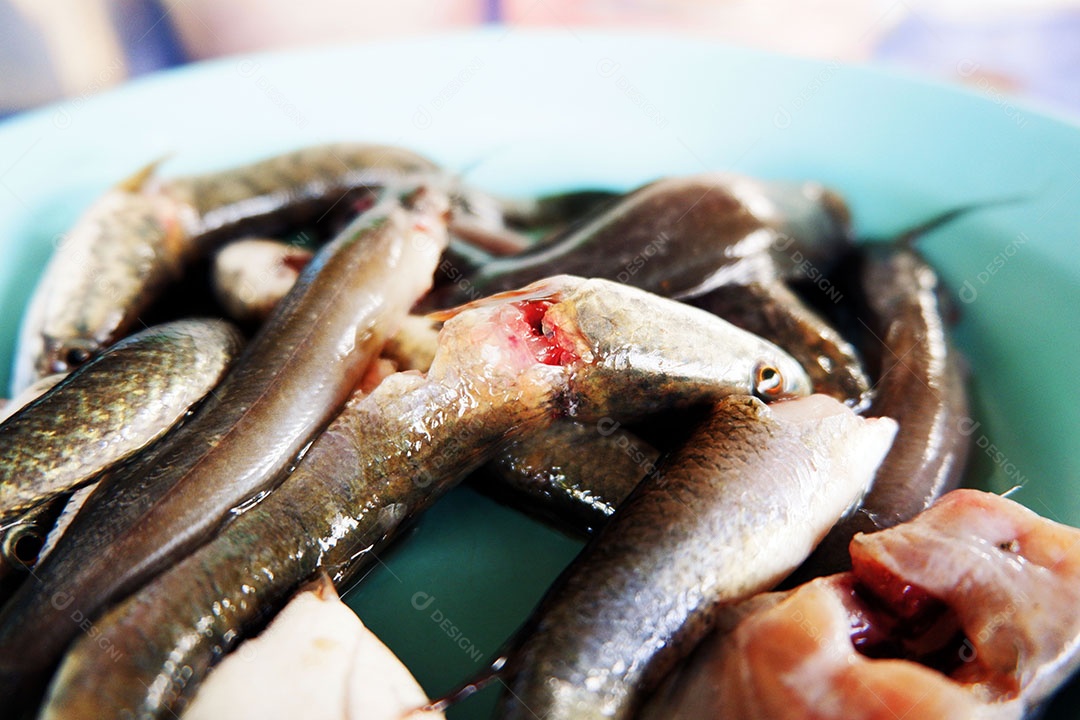 Peixe fresco está em um prato preparado para cozinhar.