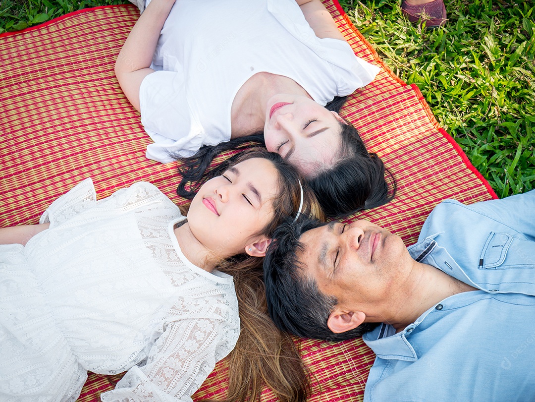 Famílias asiáticas relaxam no parque descansando juntas