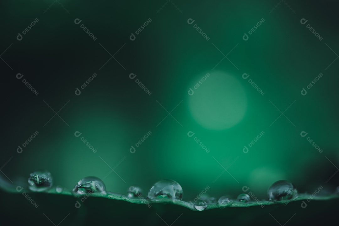 Macro de gotas de água na folha Conceito de água de amor. Amar a natureza