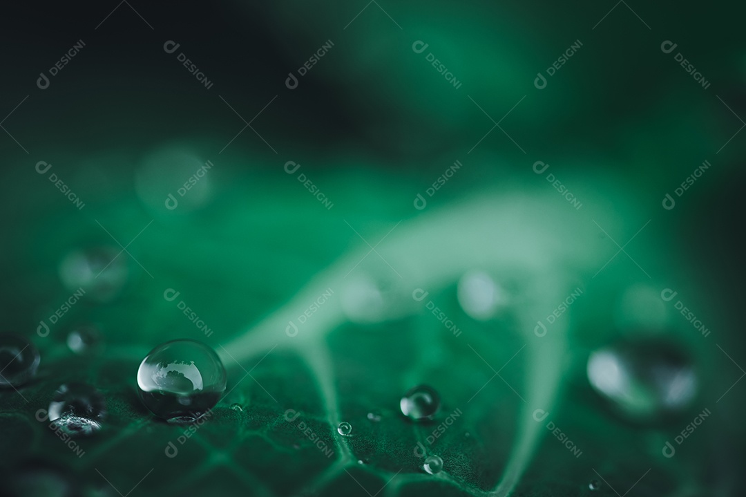 Macro de gotas de água na folha Conceito de água de amor. Amar a natureza