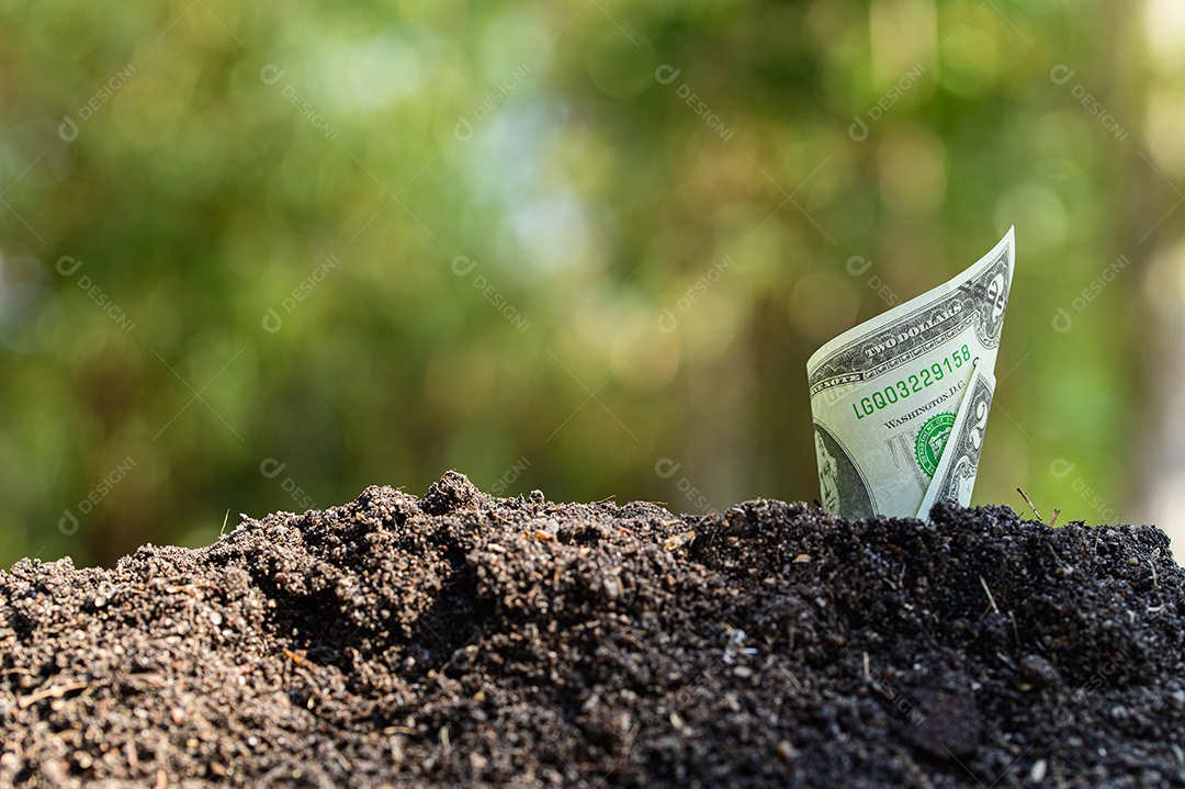 Crescimento do negócio em finanças é representado por uma árvore em crescimento.