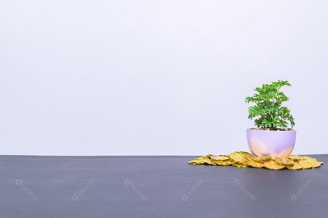 Pile of coins and potted plants on the table