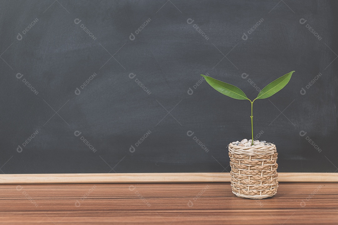 Vaso de planta na mesa Quadro-negro de fundo Conceito de árvore de amor