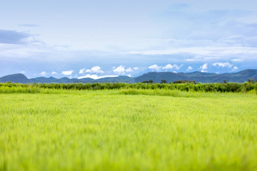Embaçado do campo de grama verde e pequenas colinas no céu azul com nuvens