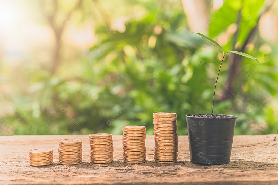 Moedas empilhadas, conceito de crescimento financeiro